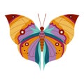 Colorful Tropical Butterfly Moth Icon in Cartoon Royalty Free Stock Photo