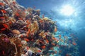 Colorful tropical coral reef with sun beams shinning underwater Royalty Free Stock Photo