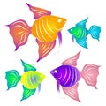 Colorful Tropical Fish Clipart Royalty Free Stock Photo