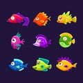 Colorful Tropical Fish Collection Royalty Free Stock Photo