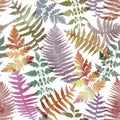 Colorful tropical leaves seamless pattern Watercolor translucent fern leaves isolated in white Transparent summer jungle foliage Royalty Free Stock Photo