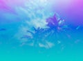 Colorful tropical palm trees background.