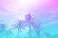 Colorful tropical palm trees background.