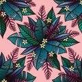 Colorful tropical pattern with exotic plants Royalty Free Stock Photo