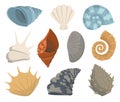 Colorful tropical sea shells underwater icon collection. Marine set cute stickers on the white background. Vector Royalty Free Stock Photo