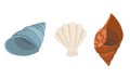 Colorful tropical sea shells underwater icon collection. Marine set cute stickers on the white background. Vector