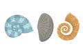 Colorful tropical sea shells underwater icon collection. Marine set cute stickers on the white background. Vector Royalty Free Stock Photo