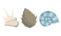 Colorful tropical sea shells underwater icon collection. Marine set cute stickers on the white background. Vector