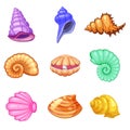 Colorful tropical shells underwater icon set frame of sea shells, cartoon style. Vector illustration. Royalty Free Stock Photo