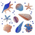 Colorful tropical shells underwater icon set frame of sea shells, vector illustration. Summer concept with shells and Royalty Free Stock Photo