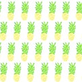 Colorful tropical watermelon pattern