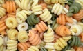 Colorful trottole pasta