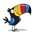 Colorful tucan bird