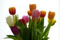 A colorful tulip bouquet against white background Royalty Free Stock Photo