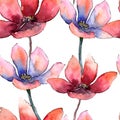 Colorful tulip. Floral botanical flower. Seamless background pattern. Fabric wallpaper print texture. Royalty Free Stock Photo