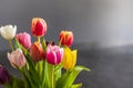 Colorful tulip flowers as greeting card. Mothersday or spring concept