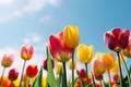 Colorful tulip flowers on a sunny day AI generated