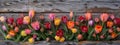 Colorful tulip row on rustic wood background Royalty Free Stock Photo