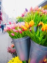 Colorful tulips in the baskets.