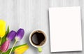 Colorful tulips bouquet and blank greeting card and coffee on white wooden table background Royalty Free Stock Photo