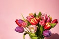 Colorful tulips bouquet on a pink background. Greeting card. Close up, copy space