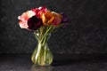 Colorful tulips in a bouquet with pink, red, yellow flowers in a vase. Dark background, copy space Royalty Free Stock Photo