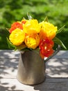 Colorful tulips bouquet in watering can Royalty Free Stock Photo