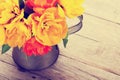 Colorful tulips bouquet in watering can. Toned Royalty Free Stock Photo