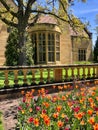 Gorgeous tulips by Paine Art Center in Oshkosh, Wisconsin