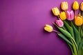 colorful tulips on clean purple background AI generated Royalty Free Stock Photo