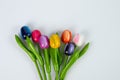 Colorful Tulips in a crystal vase on white background Royalty Free Stock Photo