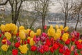 Flower beds with red and white tulips in the tulip festival Emirgan Park, Istanbul, Turkey Royalty Free Stock Photo