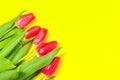 Colorful tulips flowers in a row on yellow background with free space. Mothersday or spring concept. Royalty Free Stock Photo