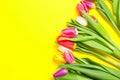 Colorful tulips flowers in a row on yellow background with free space. Mothersday or spring concept. Royalty Free Stock Photo