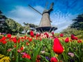The Dutch Windmill at San Francisco Royalty Free Stock Photo
