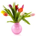 Colorful tulips in glass vase Royalty Free Stock Photo