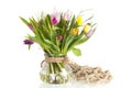 Colorful tulips in glass vase Royalty Free Stock Photo