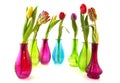 Colorful tulips in glass vases Royalty Free Stock Photo