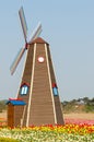 Colorful tulips in the park and wooden windmills