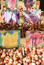 Colorful tulips on sale in Amsterdam flower market. flowers at the market in Amsterdam, Netherlands Royalty Free Stock Photo