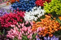 Colorful tulips on sale in Amsterdam flower market. flowers at the market in Amsterdam, Netherlands