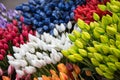 Colorful tulips on sale in Amsterdam flower market. flowers at the market in Amsterdam, Netherlands Royalty Free Stock Photo