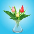 Colorful tulips vase