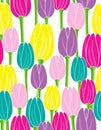 Colorful tulips on white background seamless vector pattern Royalty Free Stock Photo