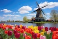 Colorful tulips and windmill in Holland. Spring landscape, Landscape with tulips in Zaanse Schans, Netherlands, Europe, AI Royalty Free Stock Photo