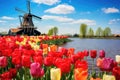 Colorful tulips and windmill in Zaanse Schans, Netherlands, Landscape with tulips in Zaanse Schans, Netherlands, Europe, AI Royalty Free Stock Photo