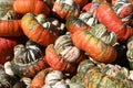 Turban Squash Royalty Free Stock Photo