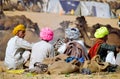 Colorful Turbans at the India camel festival