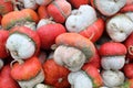 Colorful turkish turban squash