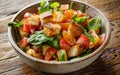 Colorful Tuscan panzanella salad with fresh vegetables, herbs, and toasted bread on a rustic wooden table. Royalty Free Stock Photo